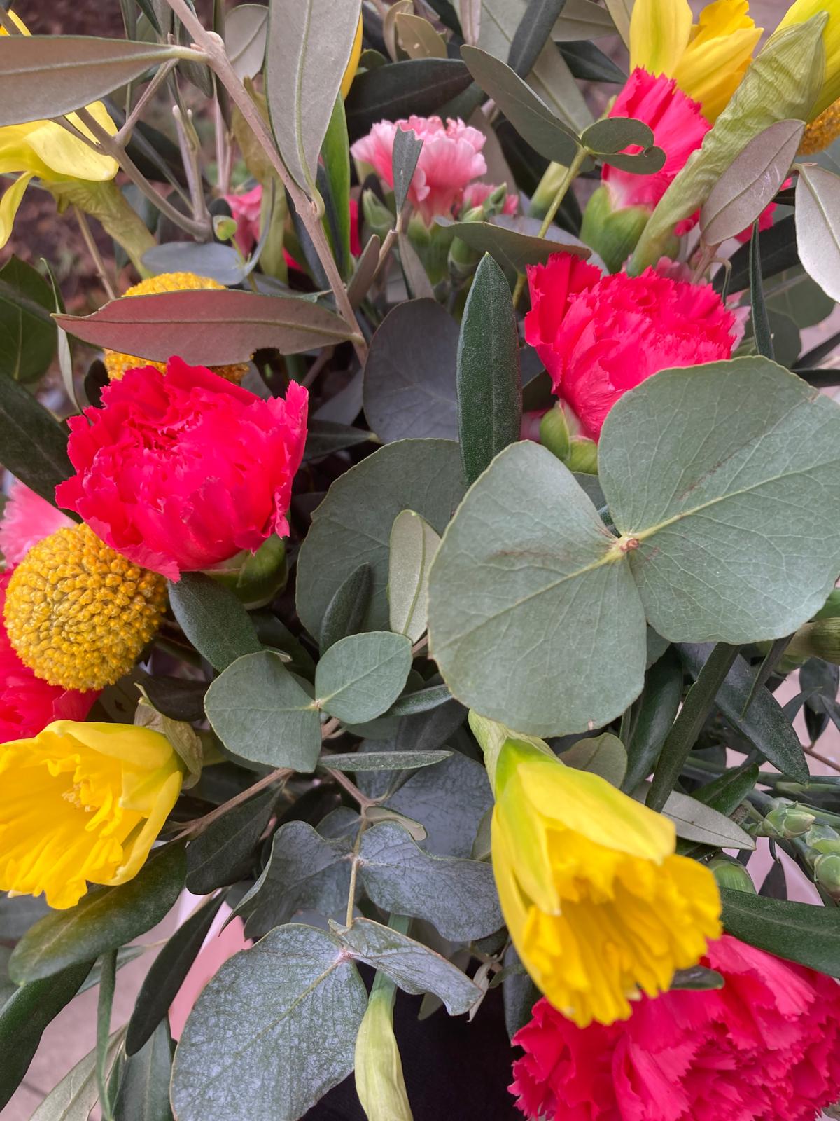 Aufgeweckt Kleines Blumenwellness | 19. März 2026 Aufgeweckt