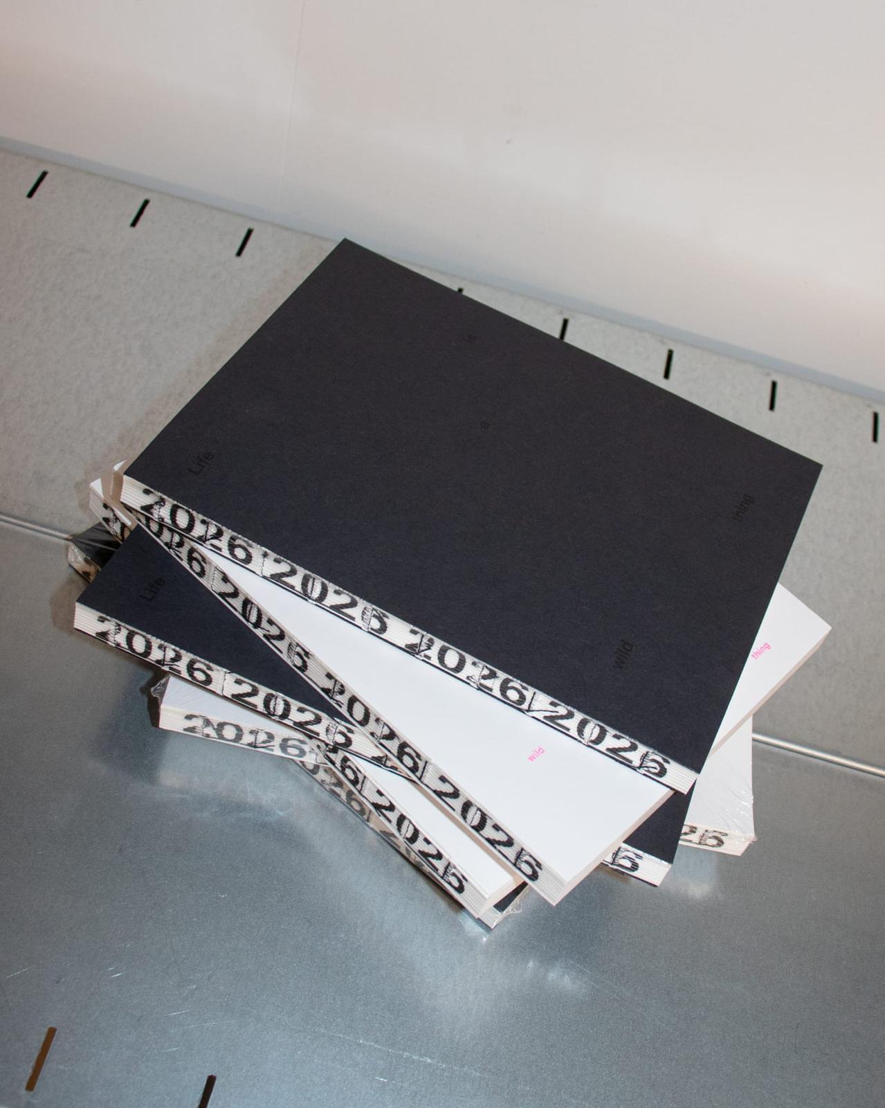 Studio Bitzi Jahresplaner 2026 Aufgeweckt