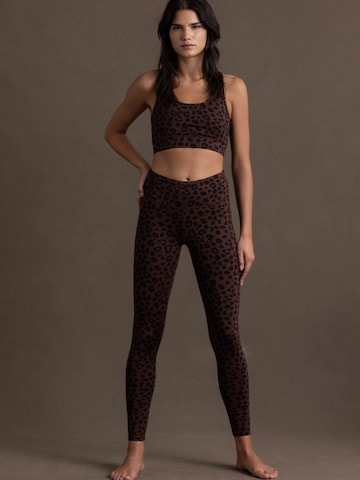 HEY HONEY Leggings Leo – Chocolate (Front)