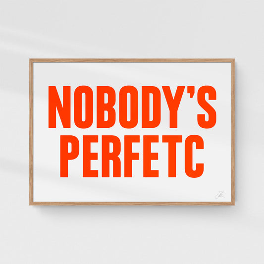 Poster: Nobody's perfetc