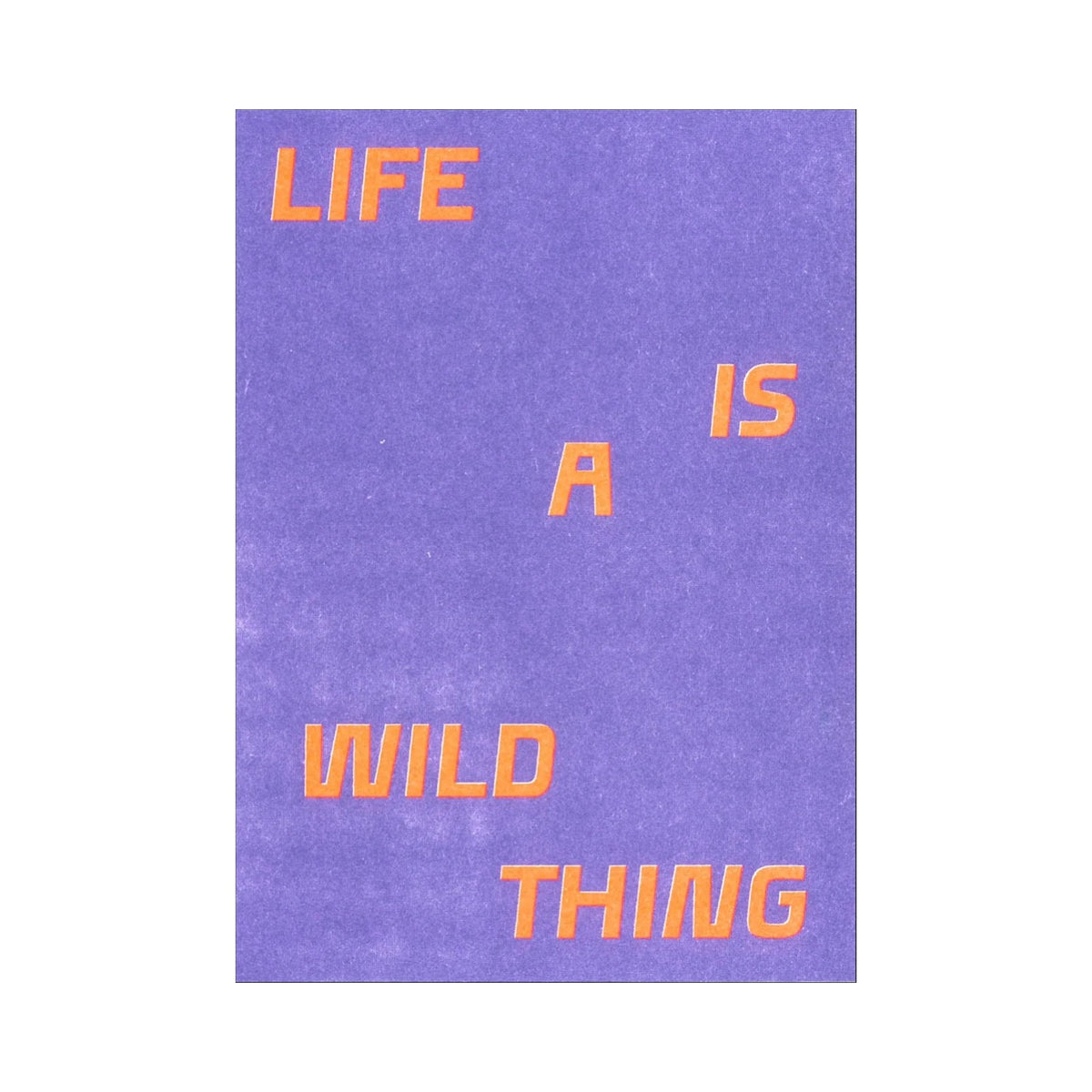 Studio Bitzi Karte | Life is a wild thing Aufgeweckt